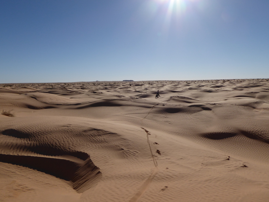 Sipine proti Tim Bain-u