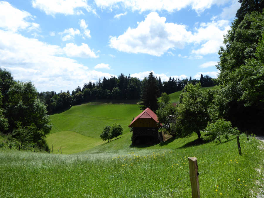 Razgled pri odcepu za vrh Črete