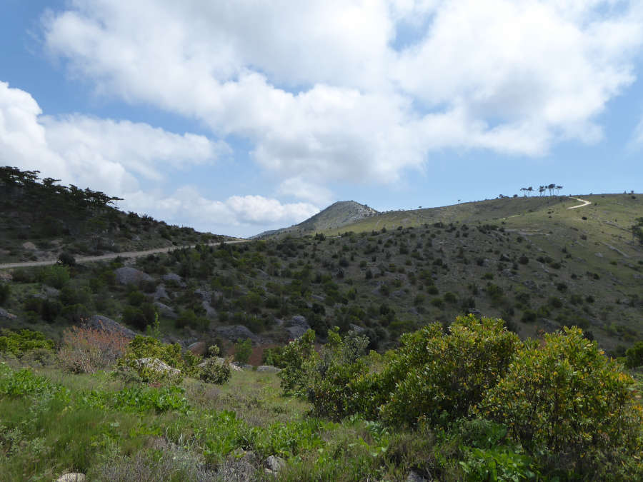 Vzpon proti Sv. Nikoli