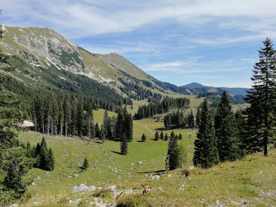 Pogled proti Pungatu iz Šije