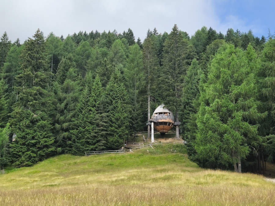 Hišica na drevesu