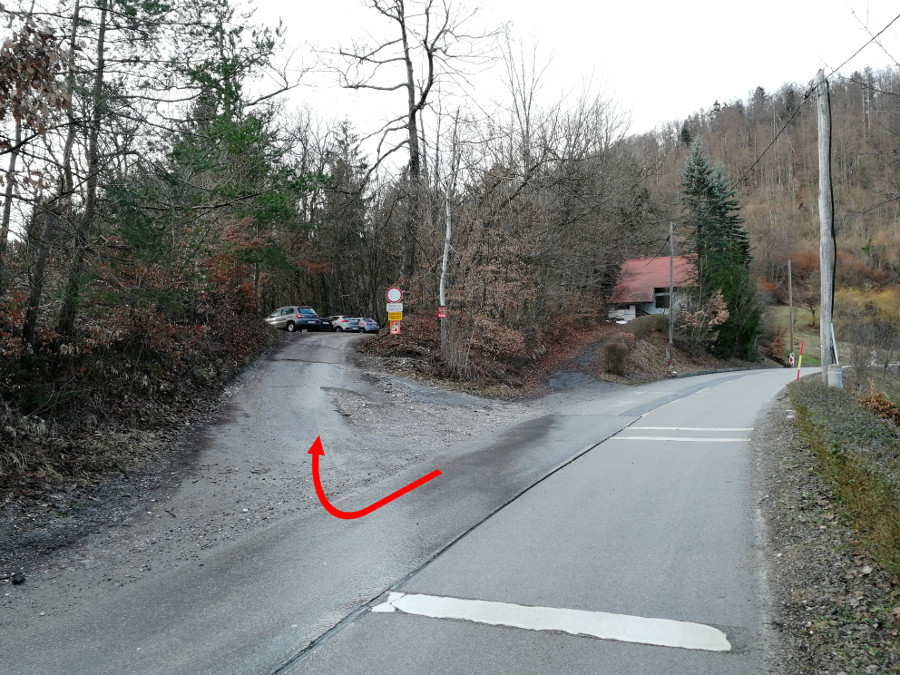 Uvoz na gozdno cesto