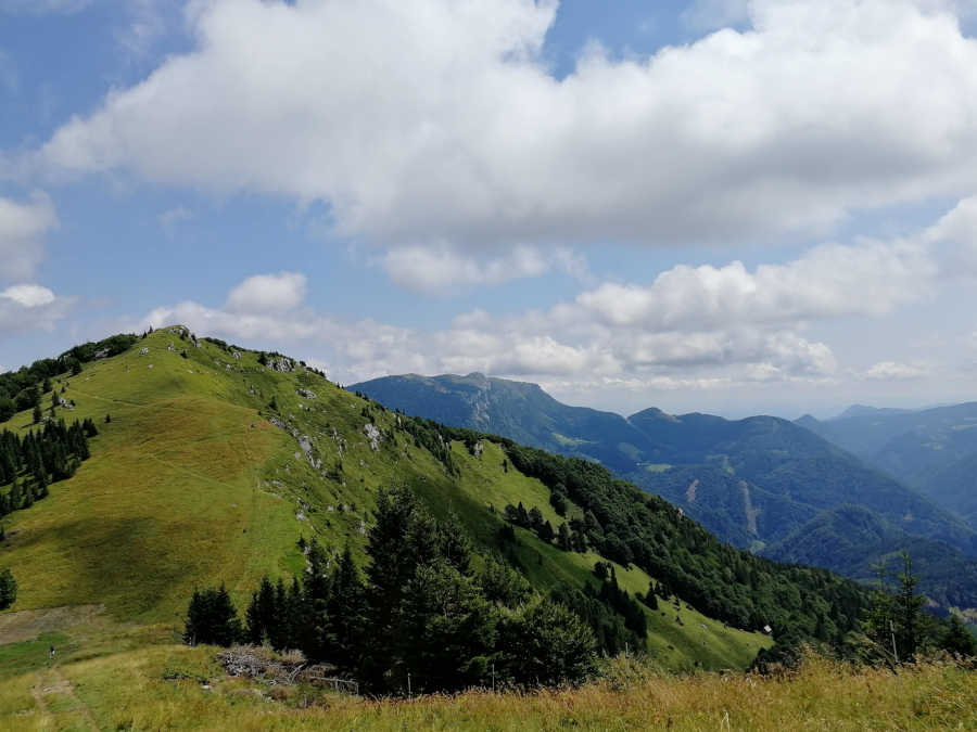 Razgled proti Dravhu