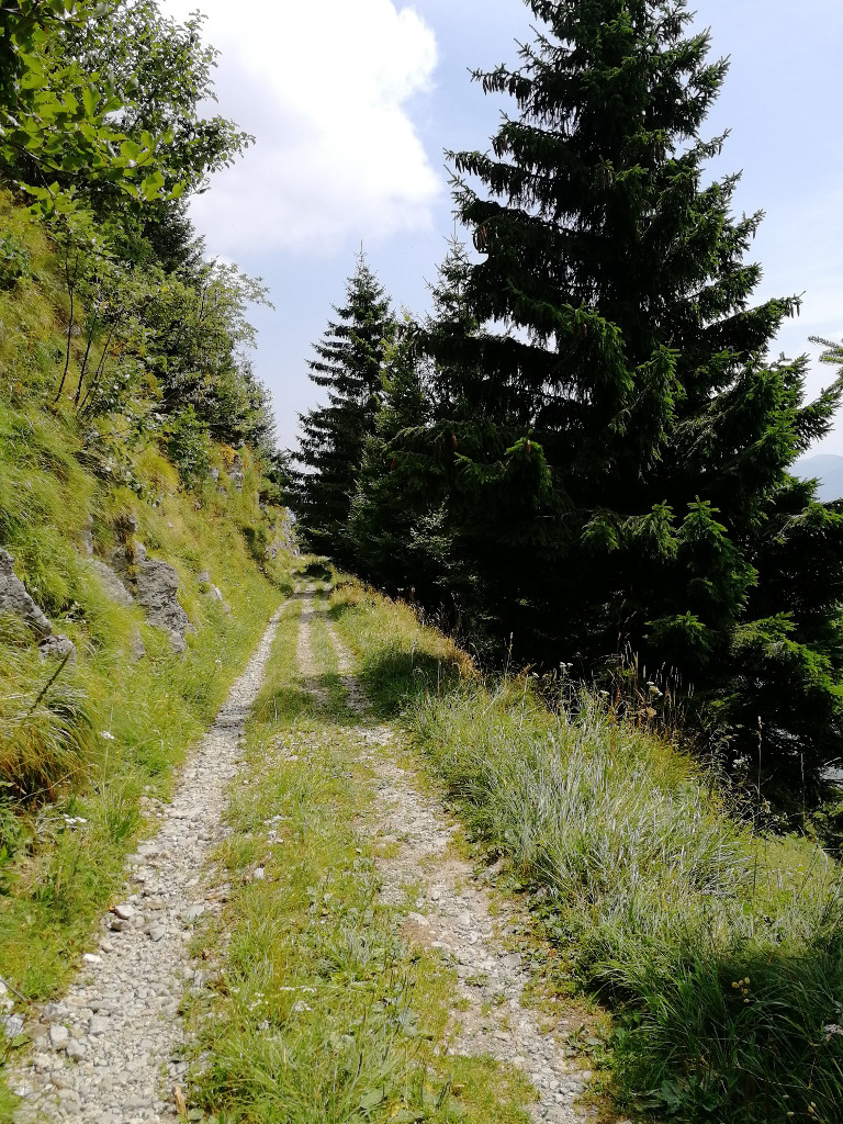 Pogled na dolino Nadiže