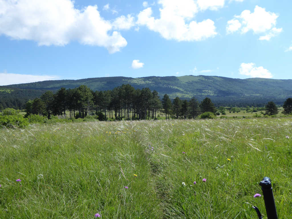 Travniki pod Vremščico